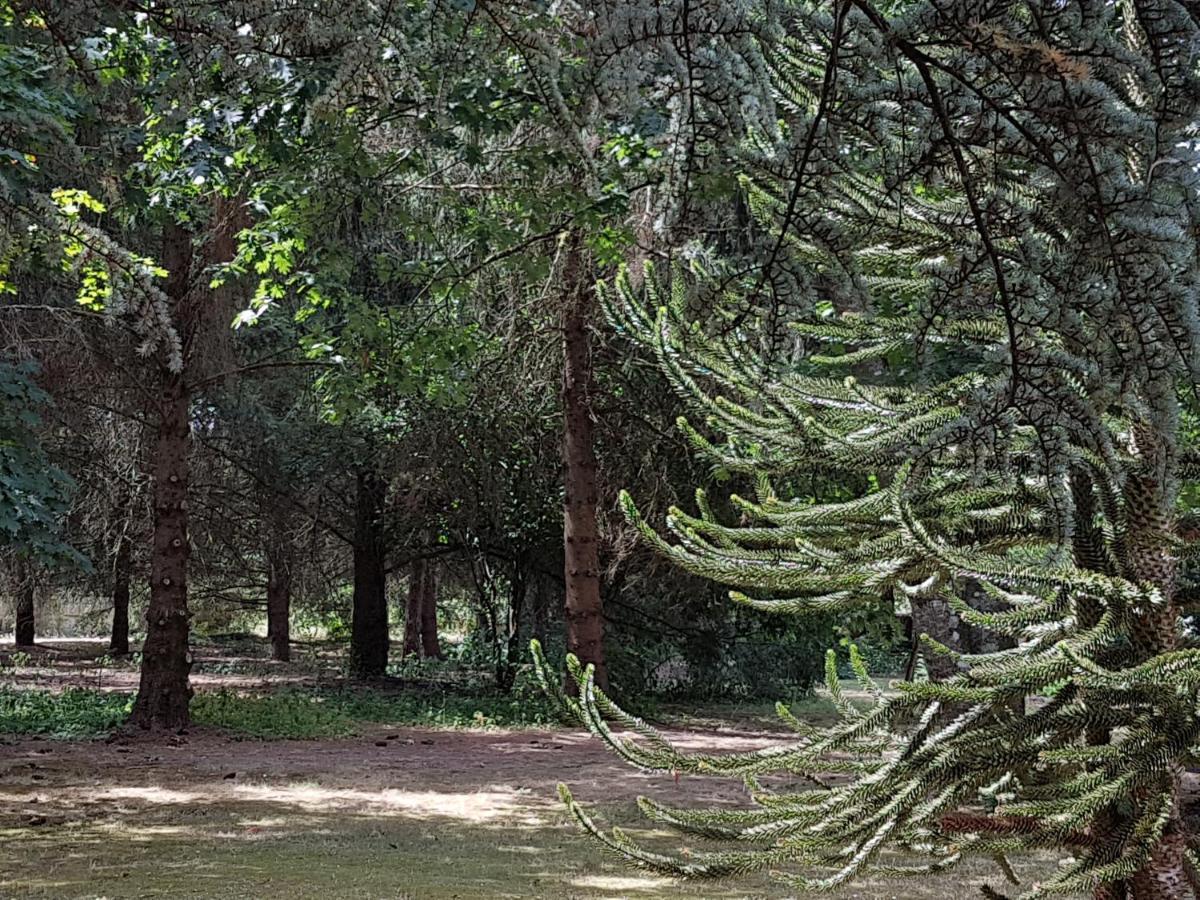 Le Clos Des Ecureuils Vouzon Exterior foto