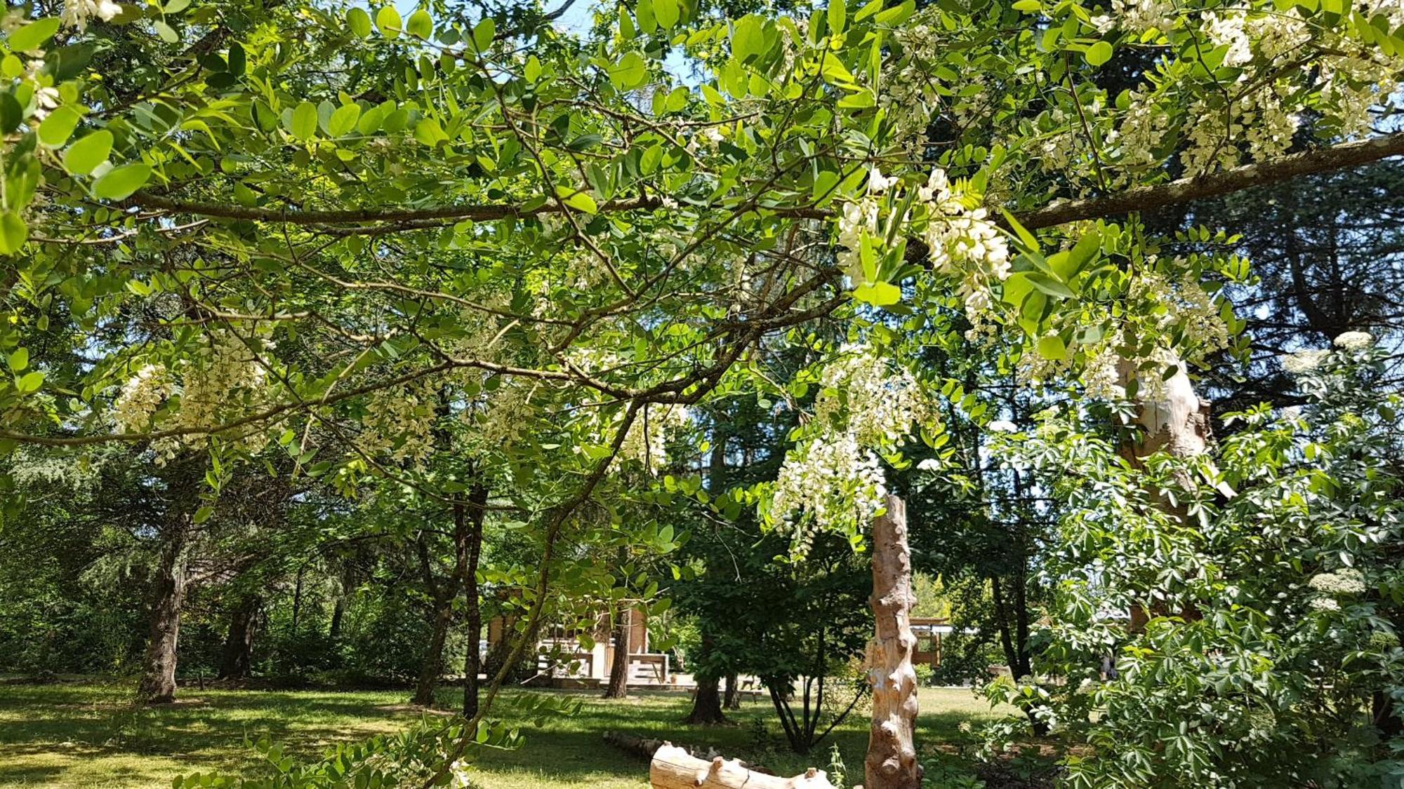 Le Clos Des Ecureuils Vouzon Exterior foto